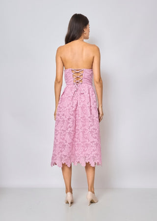 Salma Corset-Style Strapless Lace Midi Dress: